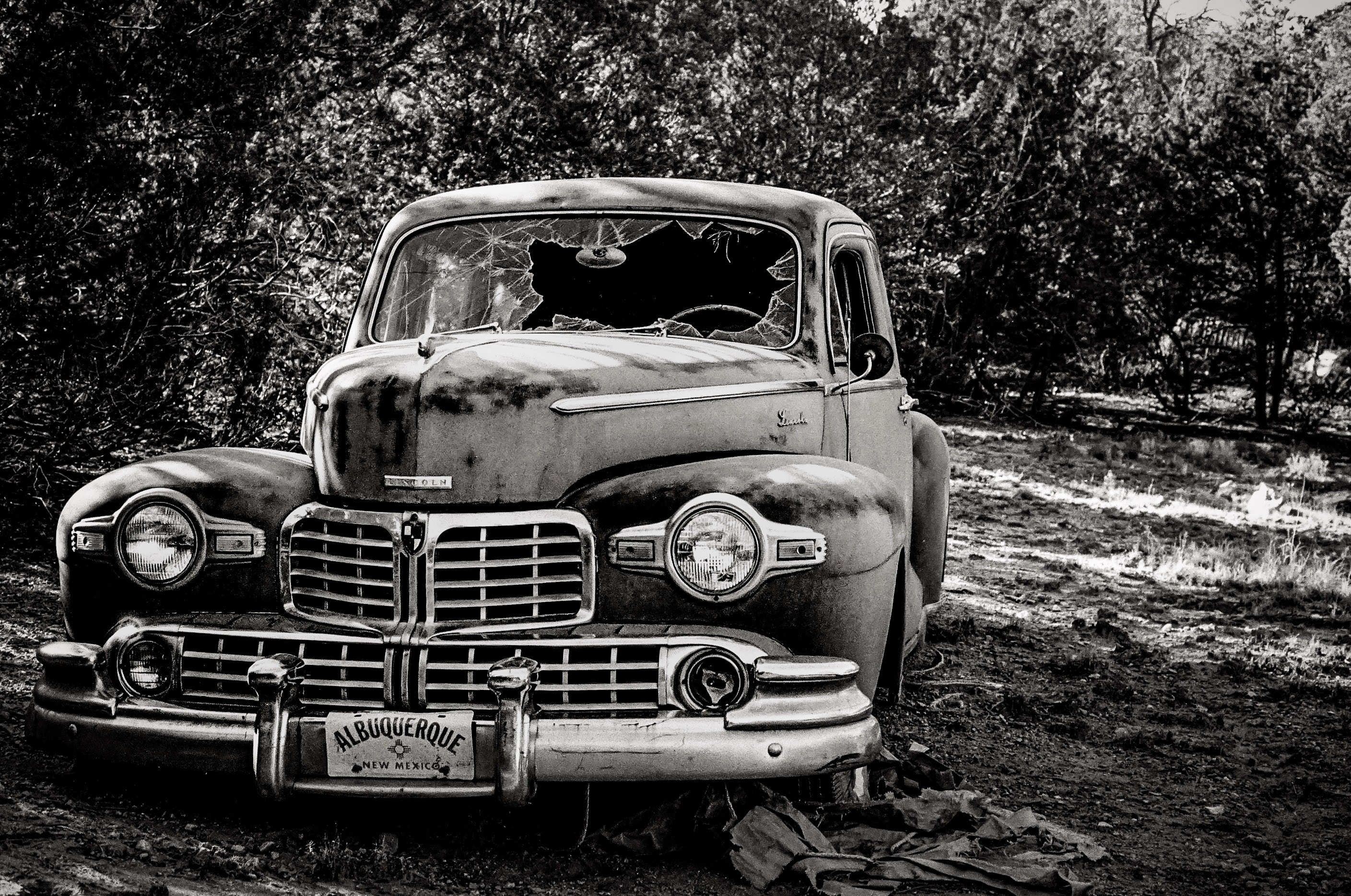 hayden-walker-704916-unsplash